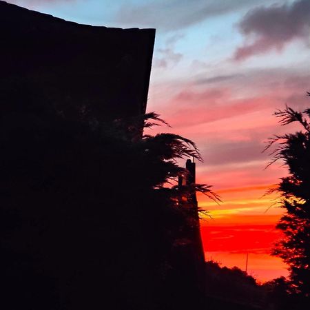 Casa Rural Quinta Los Naranjos Tigalate Eksteriør bilde