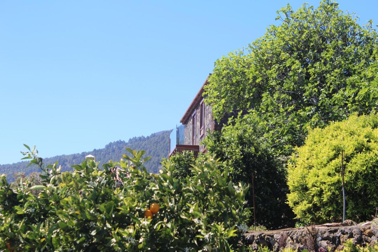 Casa Rural Quinta Los Naranjos Tigalate Eksteriør bilde